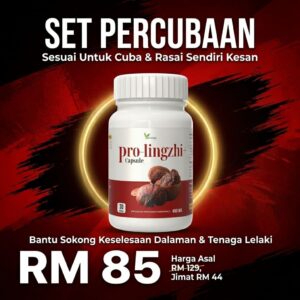 SET PERCUBAAN