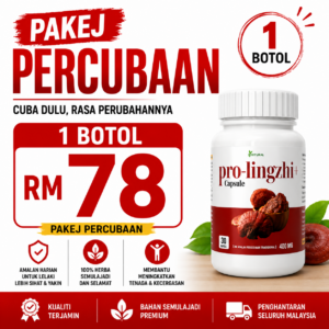 PAKEJ PERCUBAAN